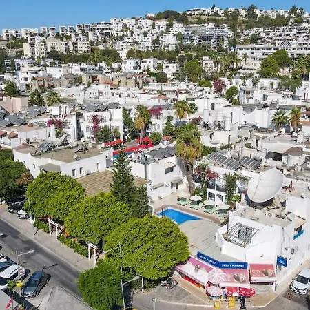 The Hello 3* 居姆贝特