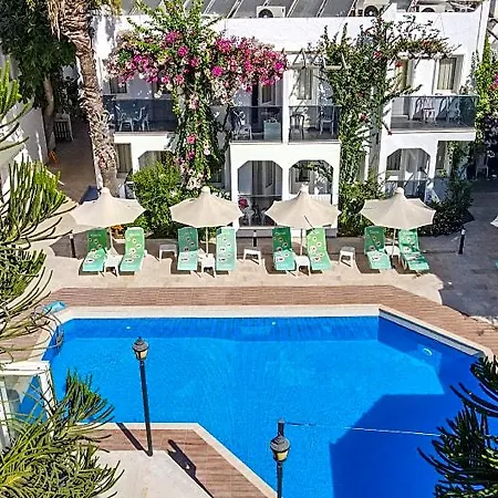 The Hello 3*