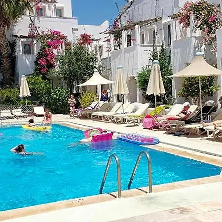 The Hello 호텔 3*