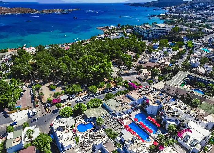 Отель The Hello 3*