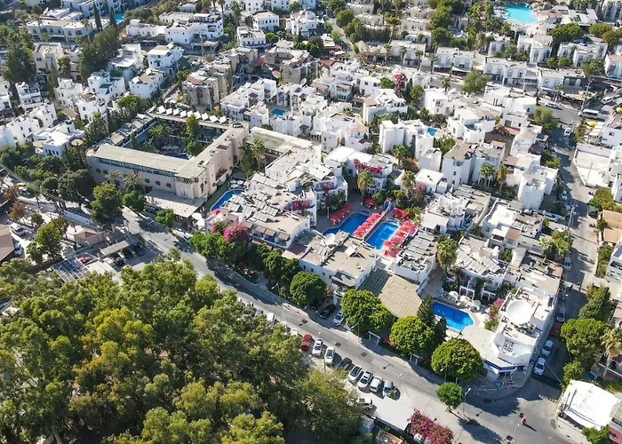 فندق The Hello 3*