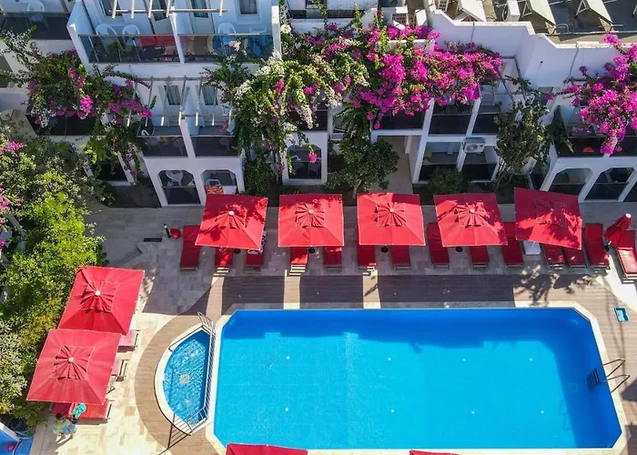 The Hello 3* غومْبيت