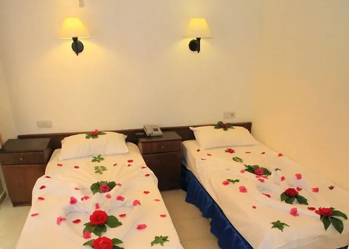 The Hello Hotel 3*